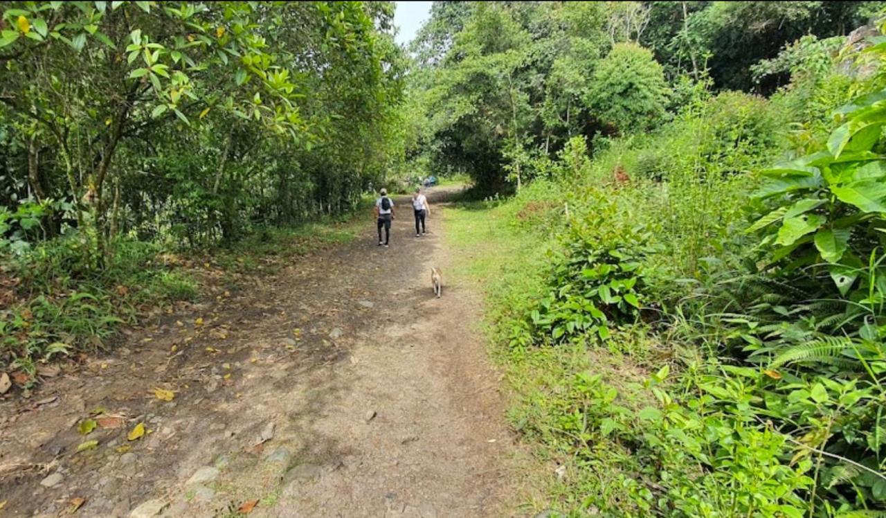 Finca Villa Chalet Del Rio Cali Farm Villa Chalet Cali River Esterno foto